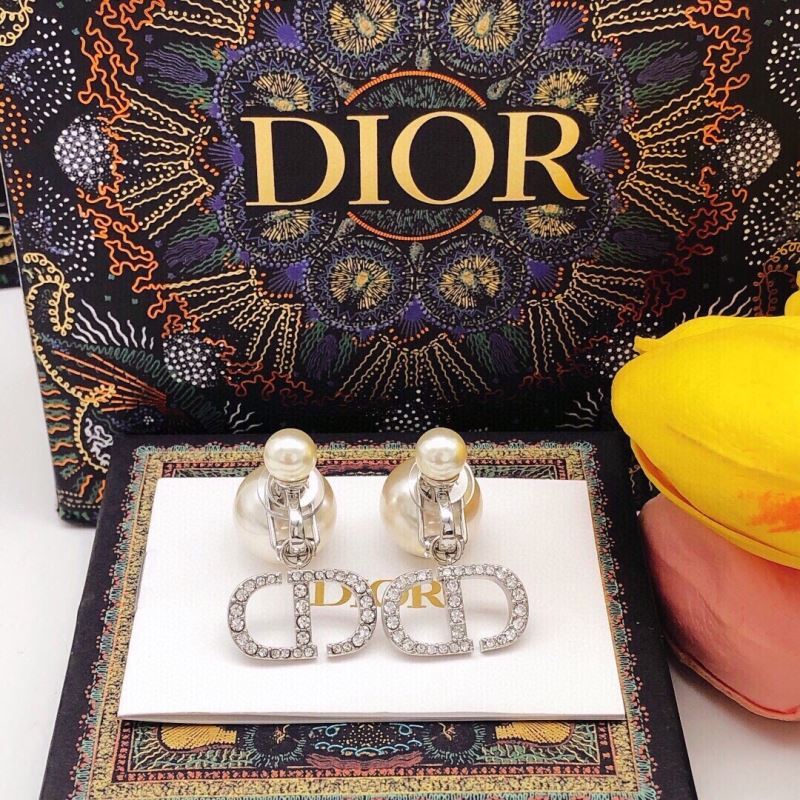 Christian Dior Earrings